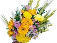 我的醉爱。名句欣赏