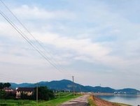 《寻觅》的句子