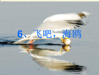 默默。好词好句