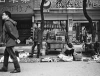 《过客。》的句子