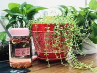 弥足珍贵的句子