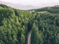 关于志同道合的唯美语录