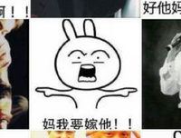 万古人间四月天读后感1000字