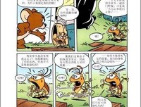 小猫出生在秘密山洞读后感100字