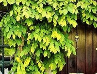 不哭读后感100字