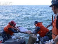 《构建可扩展的Web站点》读后感100字