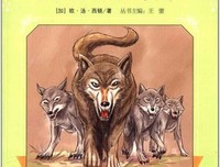 《西顿动物小说》读后感1000字