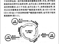 阶层是会遗传的读后感精选