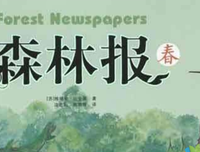 森林里的秘密读后感1000字