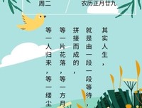 一个第三者的含泪自白：“原配在2楼生孩子，我在18楼堕