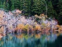 伤心经典的句子