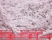 今年45-65岁的，2020下半年要面对现实了！