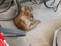 再活一次读后感摘抄