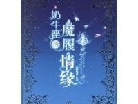 奶牛座的魔履情缘读后感100字