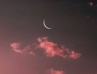 《旅途罢。》的句子