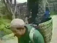 有关风华绝代的美文美句摘抄