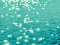 积极经典的句子
