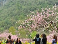 《相约在今生》观后感精选