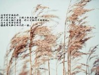 描写适可而止的经典句子