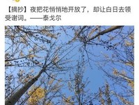 关于不为所动的名句摘抄