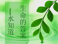 水知道答案优美的句子