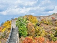 田独秀经典的句子