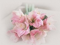 关于珍藏的优美句子