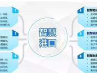 《智慧》的句子