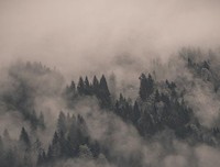 《九州·死者夜谈》读后感精选