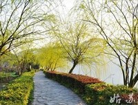 所有烦恼，都有解药