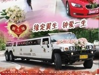 关于只多生缘的优美句子