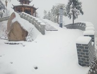 有关大雪纷飞的美文美句摘抄