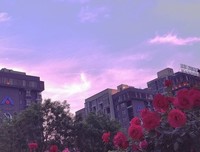有关相逢如初见，回首是一生的句子
