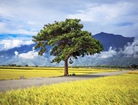 着眼点不同，结果也不同。每一个起心动念，都不可不慎