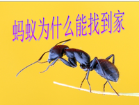 《一点就到家》好看吗？经典影评锦集