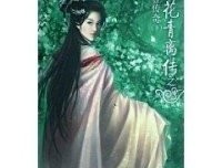 飞花青离传之刺客传奇（上）经典读后感有感
