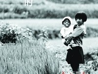 殺手.流離尋岸的花读后感100字