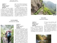 邻里东京读后感1000字