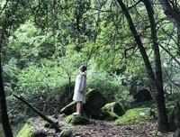 《两个男人一台戏》经典影评集