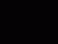 张炜：我的原野盛宴