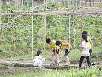 中国农村的市场和社会结构读后感摘抄