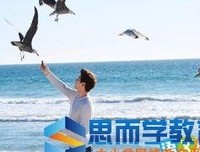 《不期而爱第二季》经典观后感1000字