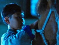 《阳光下的少年之我的无色世界》经典影评集
