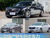 《黑客帝国》：人类和病毒谁可怕？