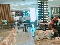 《饮食之道》读后感摘抄