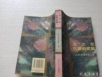 恶之花 巴黎的忧郁读后感精选