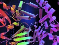科学研究的艺术的读后感大全