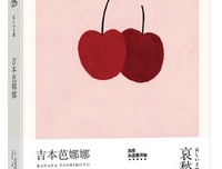 《哀愁的预感》经典读后感有感