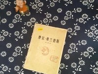 《摩尔·弗兰德斯》读后感精选