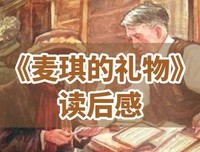 钻石王老五的艰难爱情读后感1000字